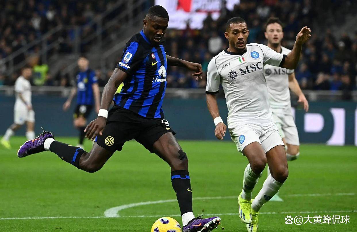 佛罗伦萨不敌国际米兰,主场失利 佛罗伦萨不敌国际米兰,主场失利