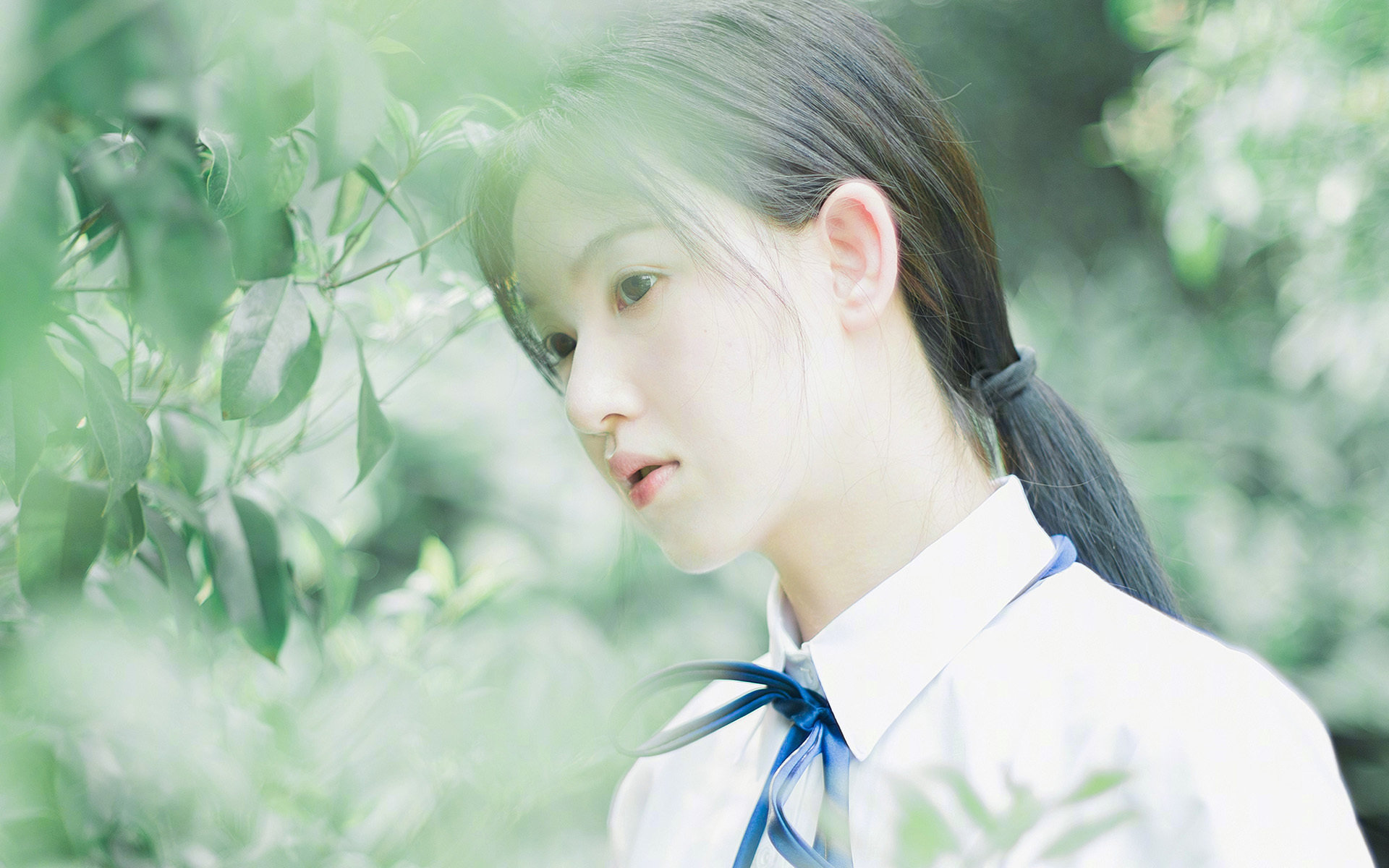 绿茵之上的篮球烽火,当欧冠精神照亮NBA半决赛战场