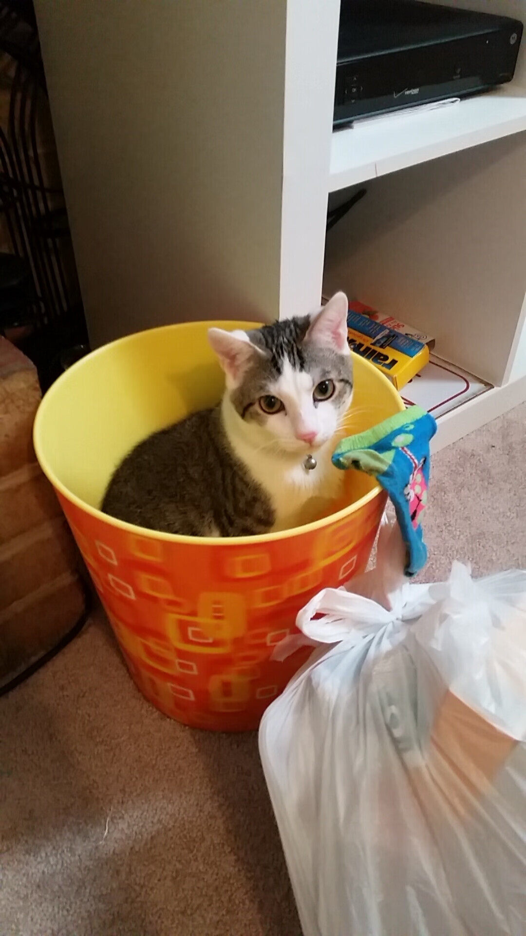 魔术横扫独行侠,霍姆格伦如何从希望之星蜕变为关键先生?